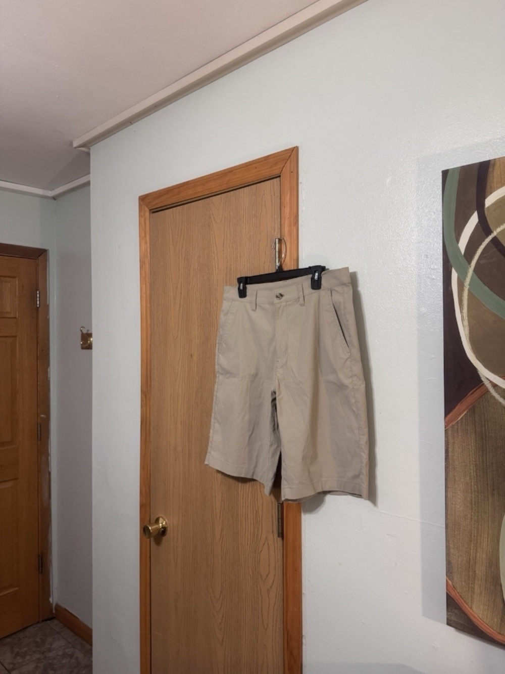Eddie Bauer Size 34 Solid Beige Khaki Shorts - EUC